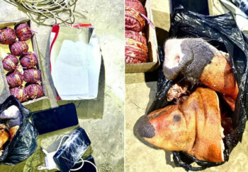 सुतली बम र सुँगुरको टाउकोसहित वीरगञ्जबाट ३ जना पक्राउ