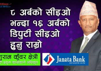 ८ अर्बको सीइओ भन्दा १६ अर्बको डिपुटी सीइओ हुनुराम्रो हुन्छ
