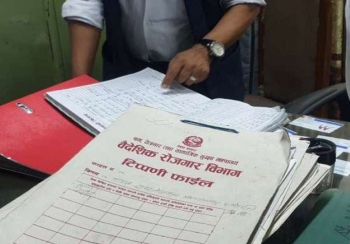 ३०३ वटा म्यानपावर कम्पनी खारेज