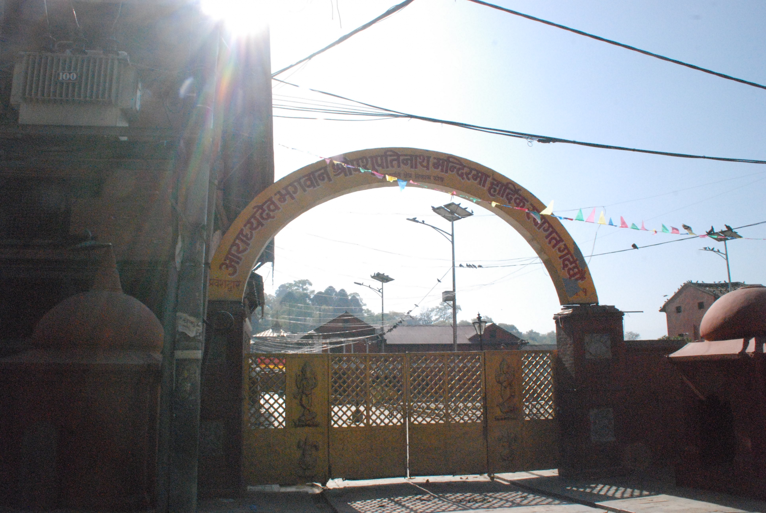 लकडाउनको १० औं दिन पशुपतिनाथ मन्दिर परिसर यस्तो देखियो