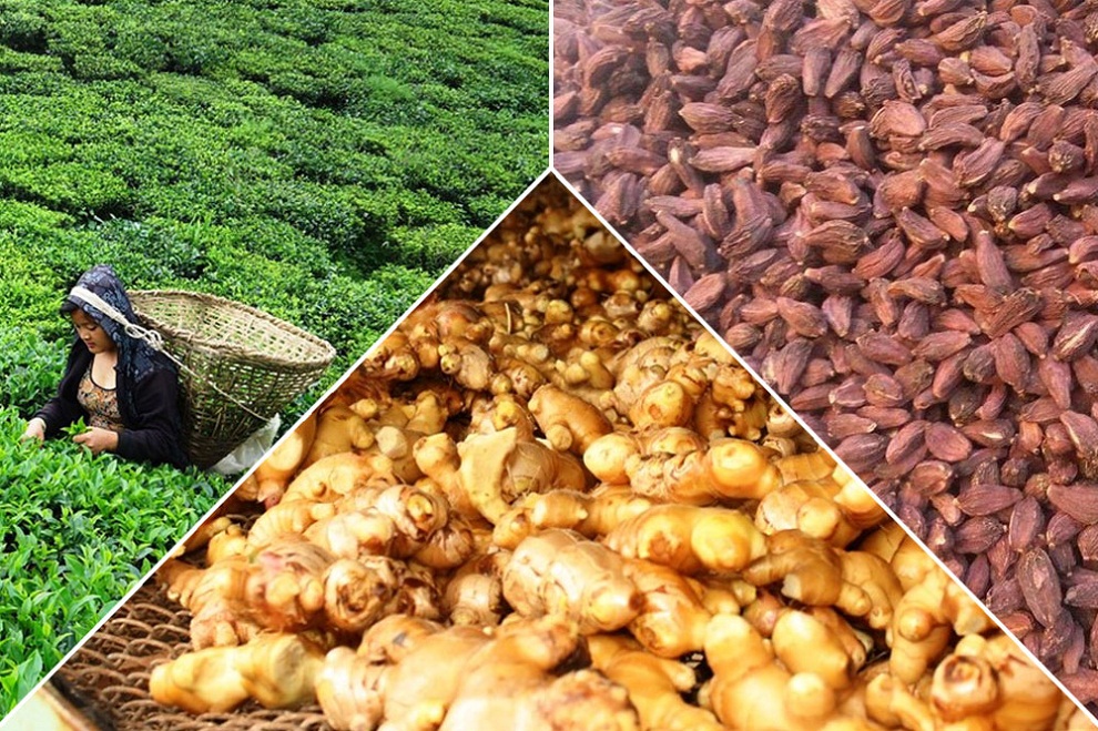 चिया, अलैँची र अदुवाको निर्यातमा गिरावट