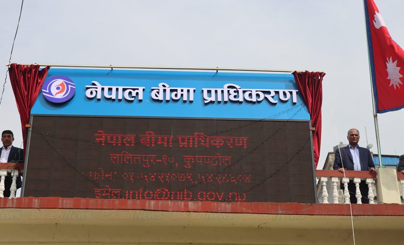 बीमा प्राधिकरणका काम कार्बही निरीह अबस्थामा