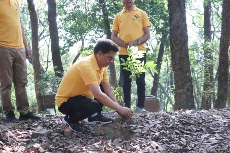 सिद्धार्थ बैंकले रोप्यो ५८१ वटा बोटबिरुवाहरु, आज ‘नो प्रिन्ट डे’