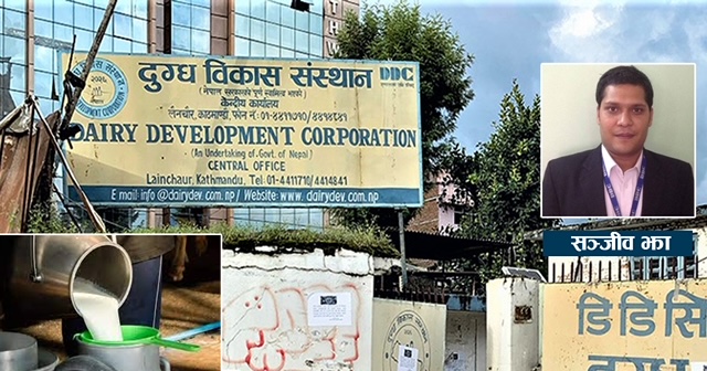 डीडीसीमा कर्मचारीको वित्तीय अराजकता