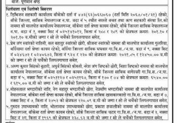 नमस्ते सहकारी सञ्चालकको धितो लिलाम गर्दै नेफ्स्कुन