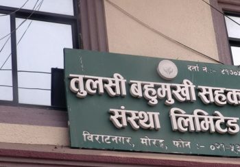 तुलसी सहकारीका ३ सय ७७ ऋणीको नाम सार्वजनिक