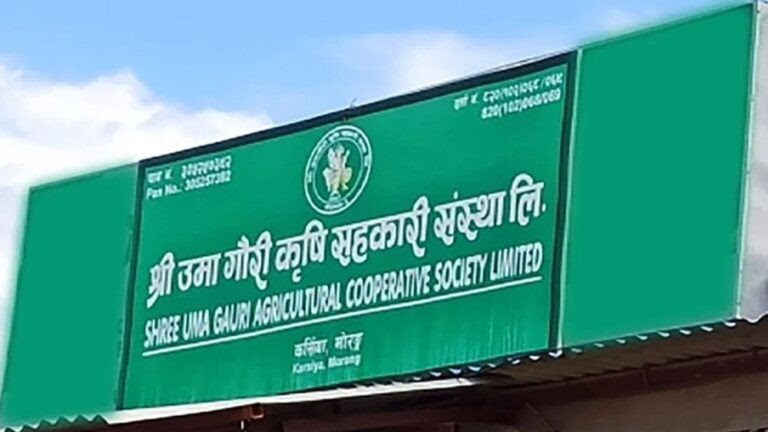 एमाले सांसद ऋषिकेशकी श्रीमती जोडिएको सहकारी ठगीमा १० जनालाई पक्राउ पुर्जी