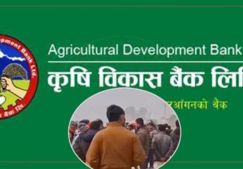 चौथो पटकको प्रयासमा ४५ लाखमा भएको थियो लिलामी 