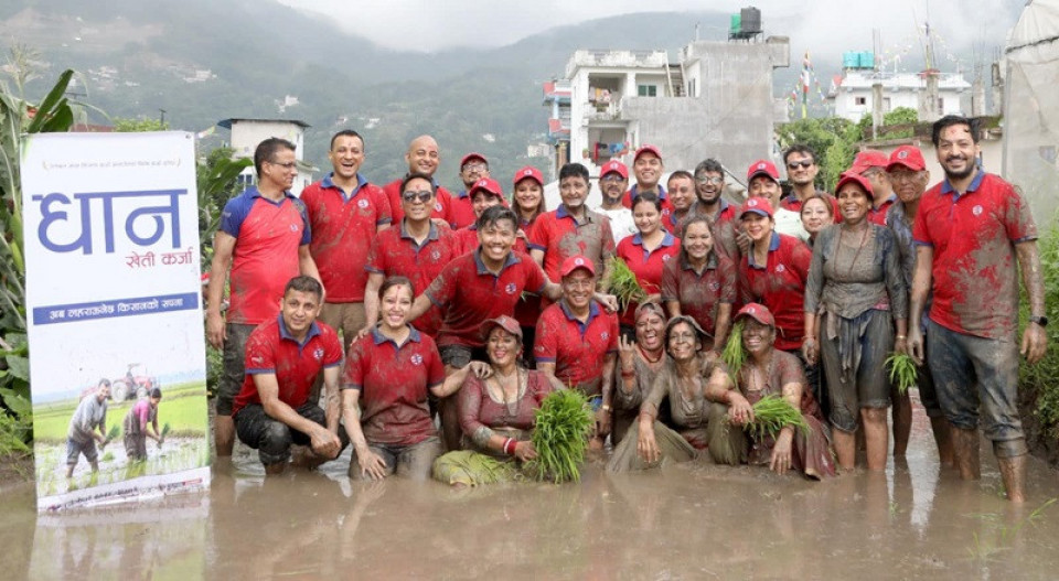 ग्लोबल आइएमई बैंकद्वारा ‘धान खेती कर्जा’ सार्वजनिक तथा धान रोपाई कार्यक्रम आयोजना