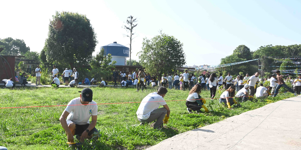 स्ट्यान्डर्ड चार्टर्ड बैंकले कीर्तिपुरमा रोप्यो ७०० भन्दा बढी विरुवा