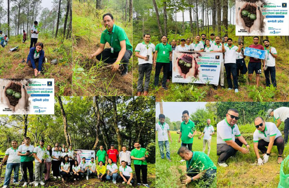 सिटिजन्स बैंकले विश्व वातावरण दिवसमा गर्यो लुम्बिनी र कर्णालीमा वृक्षारोपण