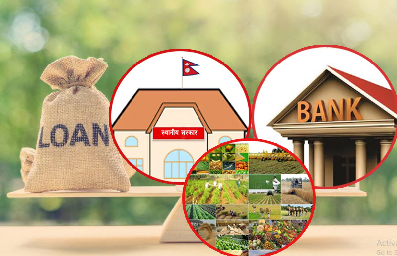 कर्जा असुलीमा स्थानीय तह बाधकः बैंकहरू धितो लिलामी गर्न नपाएर हैरान !