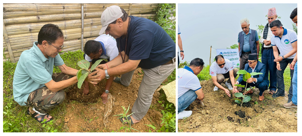 गरिमा विकास बैंकद्वारा हरिशयनी एकादशीमा देशभर वृक्षारोपण, बर-पिपल चौतारी बनाउने लक्ष्य