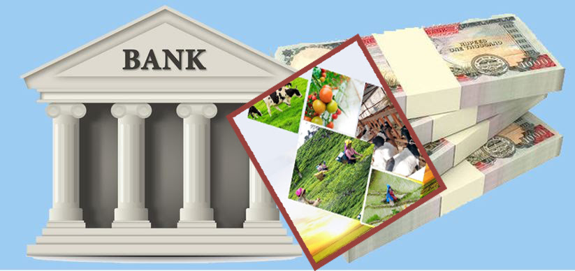 ९४ हजार लाभग्राहीले तिरेनन् सहुलियत ऋण