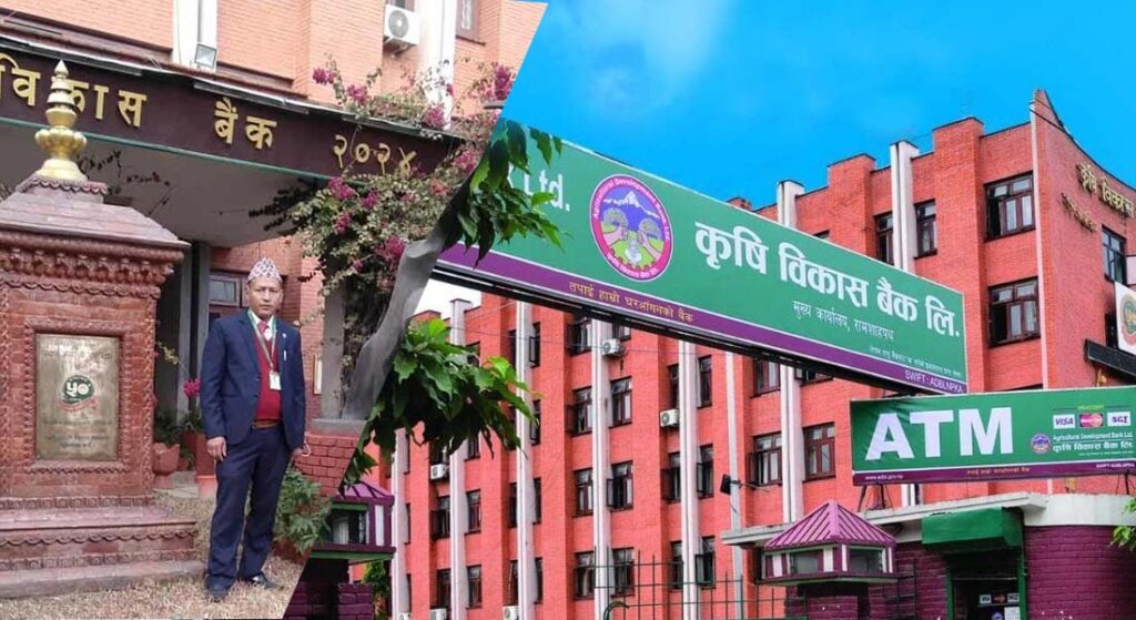 जेनजी प्रदर्शनः बैंकका कर्मचारीको टाउकोमा गोली !