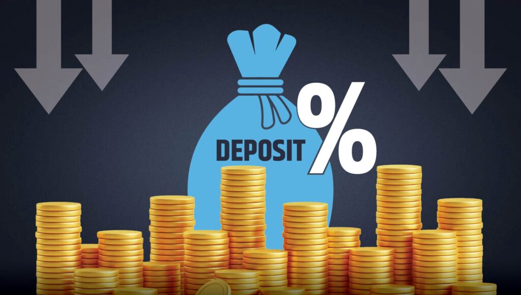 संस्थागत निक्षेपकर्ताको पैसा प्रयोगविहीन